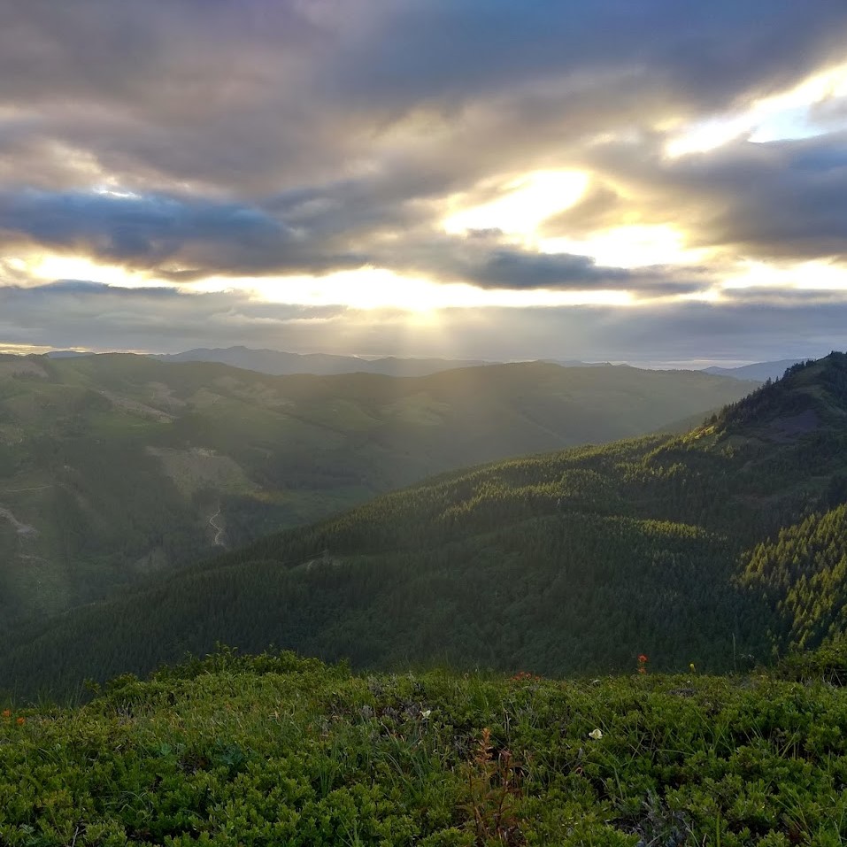 green rolling hills under a cloudy sky, the rays of the sun shine through